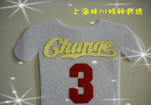 熱轉印彩色仿繡花3D印標 價格、廠家與圖片全解析