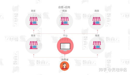 b2b2c多用戶商城系統(tǒng),功能 渠道 架構(gòu) 商業(yè)模式整合方案