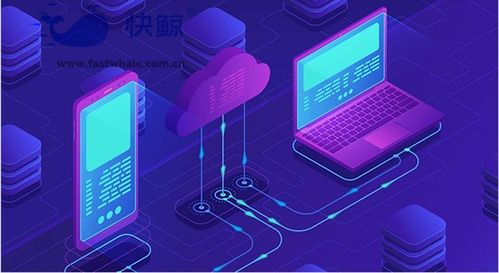 b2b2c商城系統開發多少費用